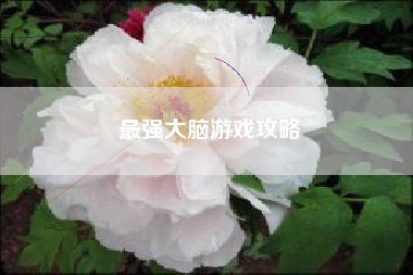 最强大脑游戏攻略
