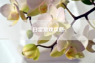 扫雷游戏攻略