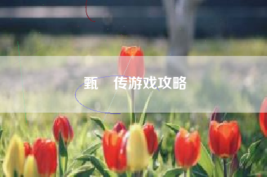 甄嬛传游戏攻略