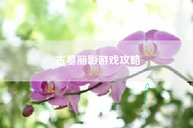 古墓丽影游戏攻略