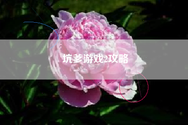 坑爹游戏2攻略