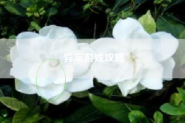 异常游戏攻略