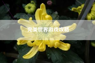 完美世界游戏攻略