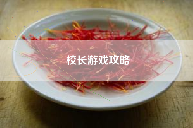 校长游戏攻略