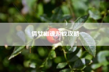 倩女幽魂游戏攻略