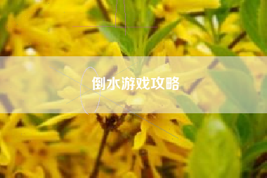 倒水游戏攻略