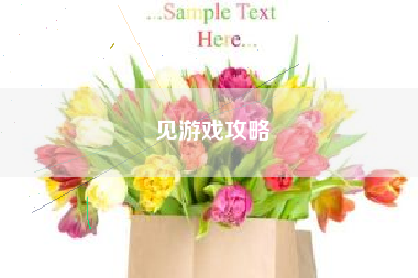 见游戏攻略