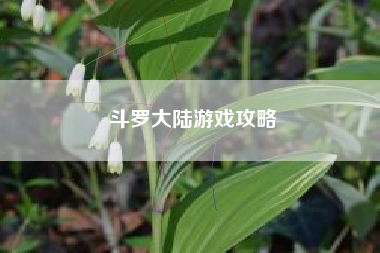 斗罗大陆游戏攻略