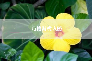 方格游戏攻略