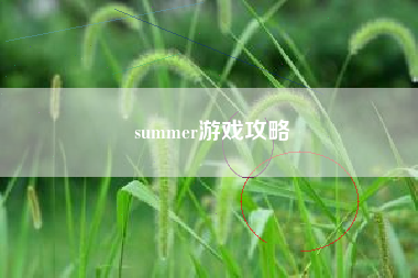 summer游戏攻略