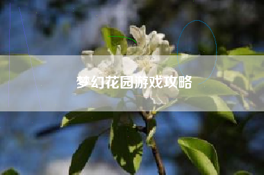 梦幻花园游戏攻略