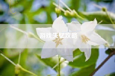 游戏失忆攻略