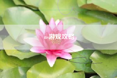 ns游戏攻略