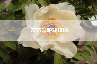 灰姑娘游戏攻略