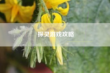 探灵游戏攻略