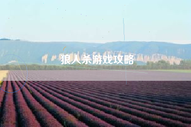 狼人杀游戏攻略 狼人杀游戏攻略