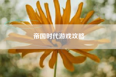 帝国时代游戏攻略 帝国时代游戏攻略