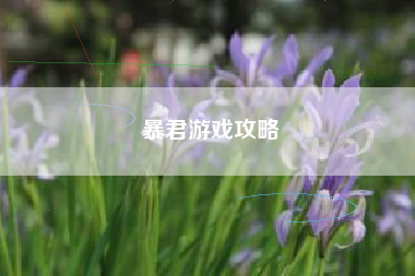 暴君游戏攻略