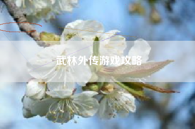 武林外传游戏攻略