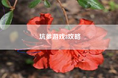 坑爹游戏8攻略