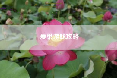 爱巢游戏攻略