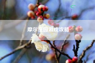 摩尔庄园游戏攻略