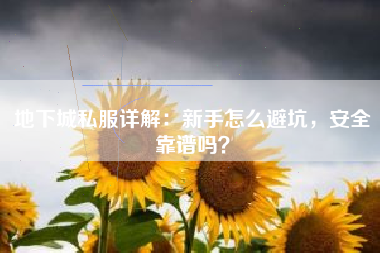地下城私服详解：新手怎么避坑，安全靠谱吗？