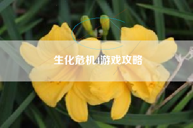 生化危机4游戏攻略