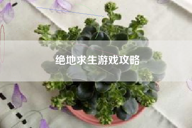 绝地求生游戏攻略 绝地求生游戏攻略