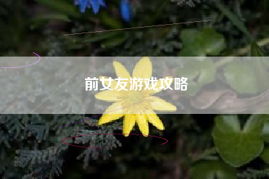 前女友游戏攻略 前女友游戏攻略