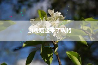 游戏藏起来了攻略 游戏藏起来了攻略