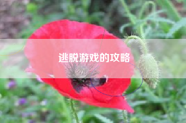 逃脱游戏的攻略