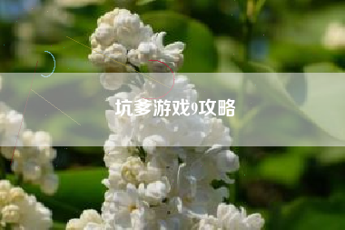 坑爹游戏9攻略