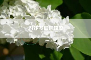 游戏发展国攻略