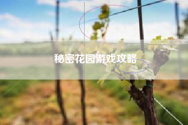 秘密花园游戏攻略