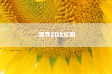 数独游戏攻略