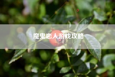 魔鬼恋人游戏攻略