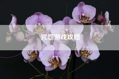 咒怨游戏攻略