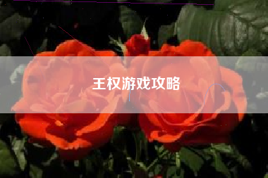 王权游戏攻略