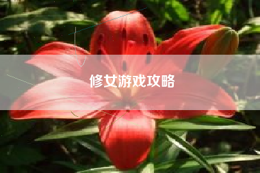 修女游戏攻略