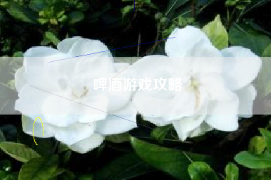 啤酒游戏攻略
