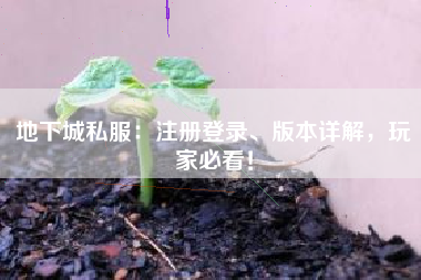 地下城私服：注册登录、版本详解，玩家必看！
